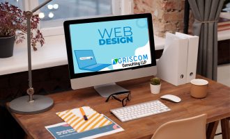 Website development
